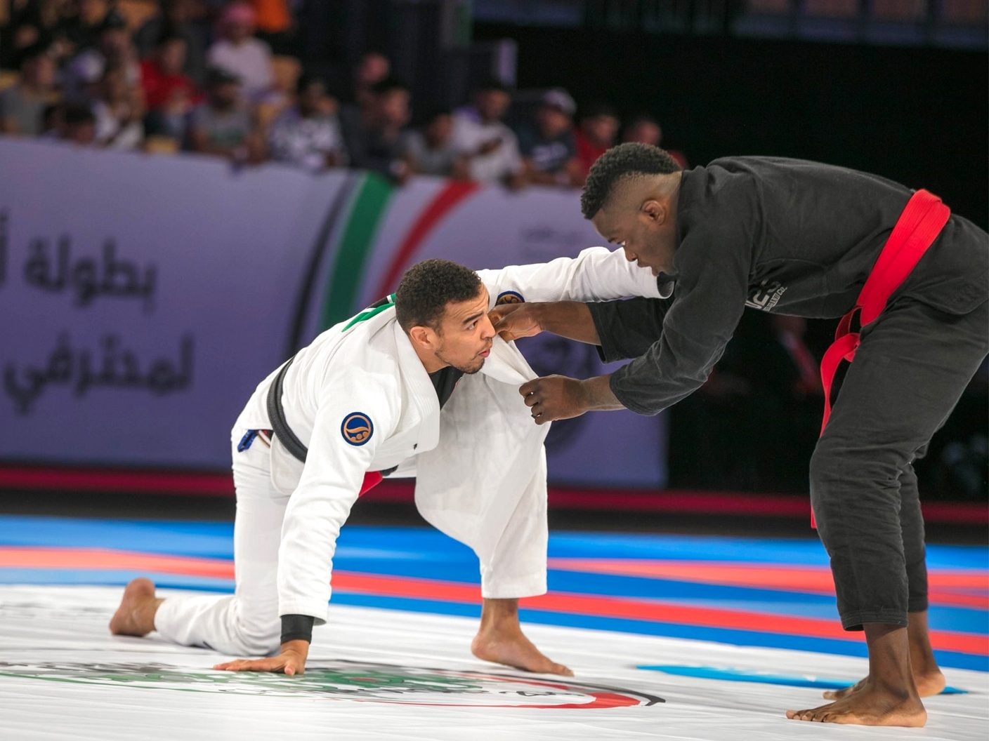 "أرشيفية"