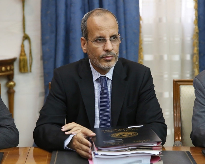"محمد ماء العينين ولد أييه"