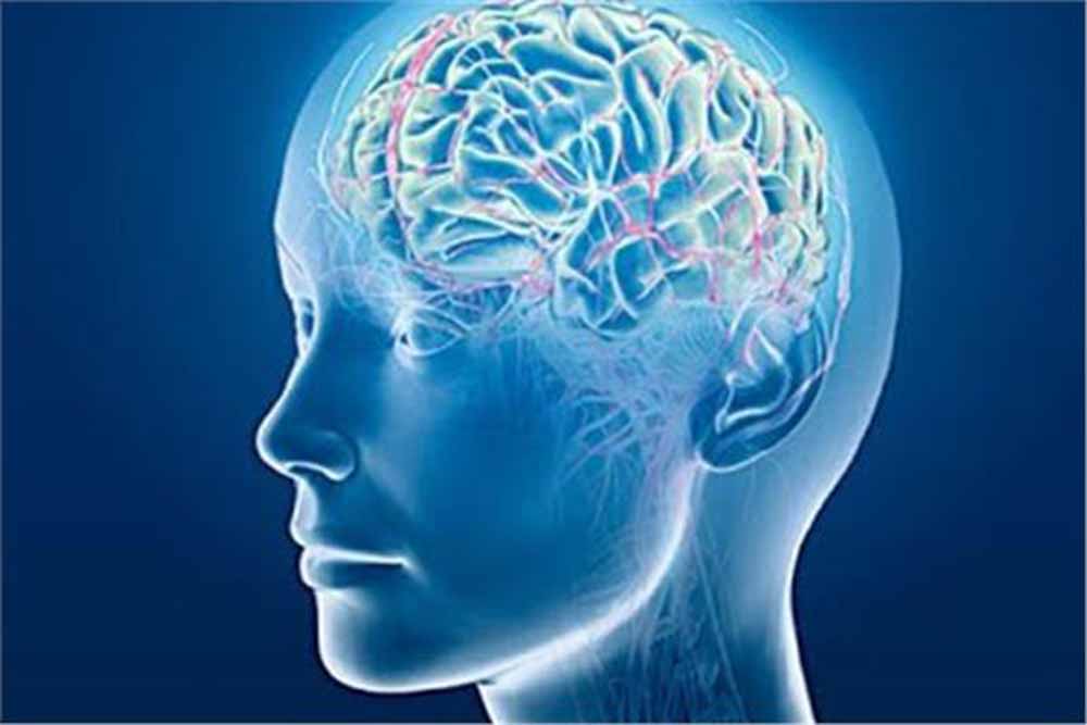 علماء ينجحون في برمجة الدماغ لاتخاذ القرار الصحيح