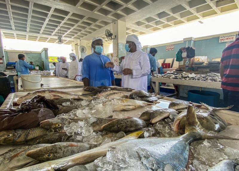 "اعتدال درجات الحرارة أسهم في وفرة الأسماك | من المصدر"