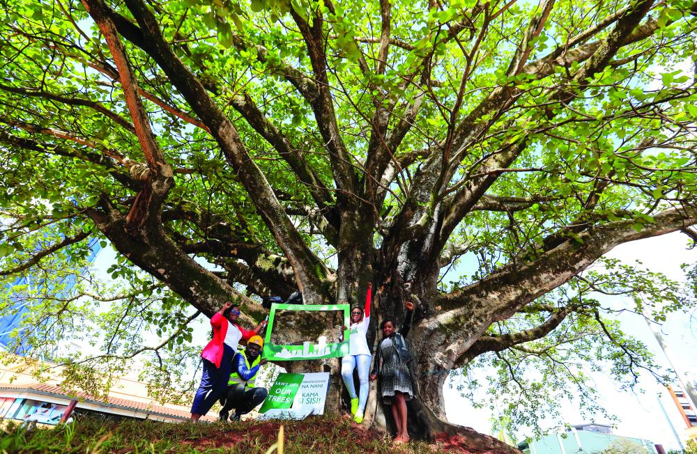 "Parklands area chief Evans Omulubi stands with environmental activists Elizabeth Wathuti, Phyllis Wamaitha and Caroline Wambui as they hold placards to save an iconic, century-old fig tree from being cut down to pave way for a Chinese-funded highway in Westlands district of Nairobi, Kenya November 11, 2020. REUTERS/Thomas Mukoya"