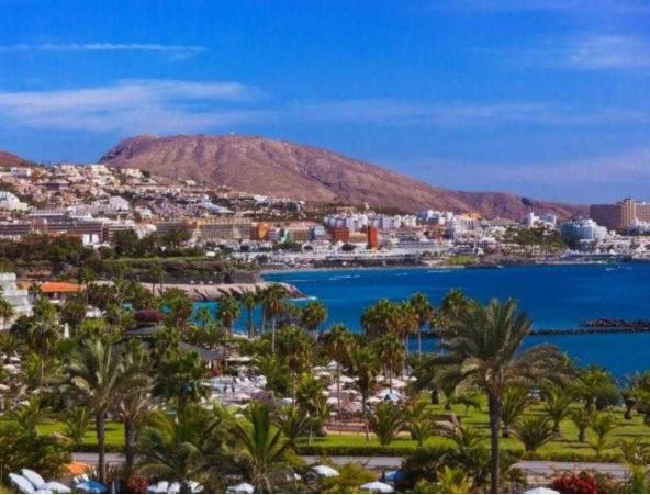 بعد رحلة بحث مضنية.. مغربية تعثر على أخيها في جزر الكناري