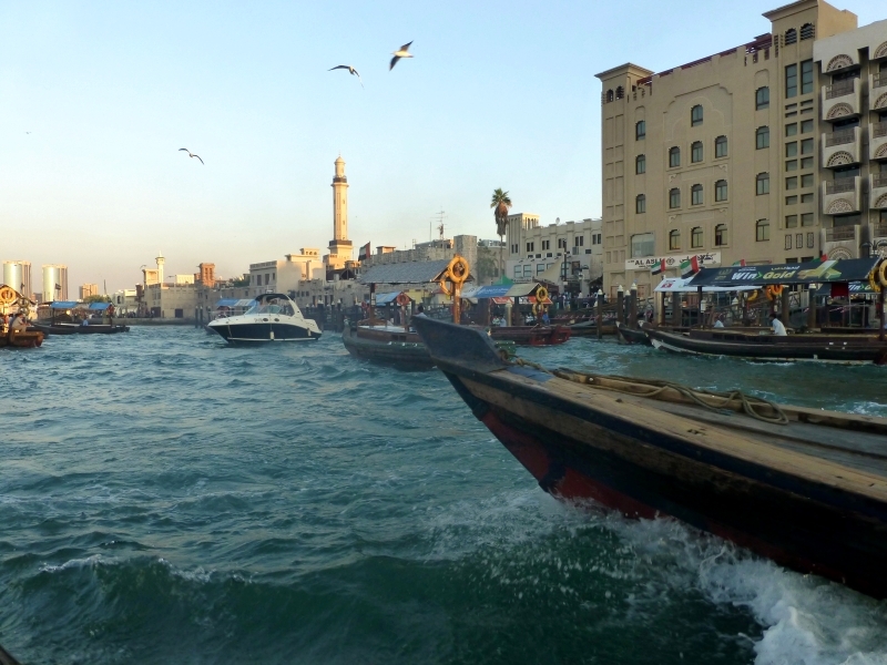 الإمارات .. الموروث شاهد على الزمن الجميل وزاد المستقبل