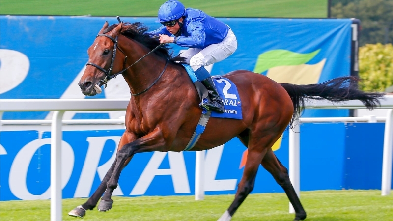 "«غياث » انتزع نجومية العام | البيان"