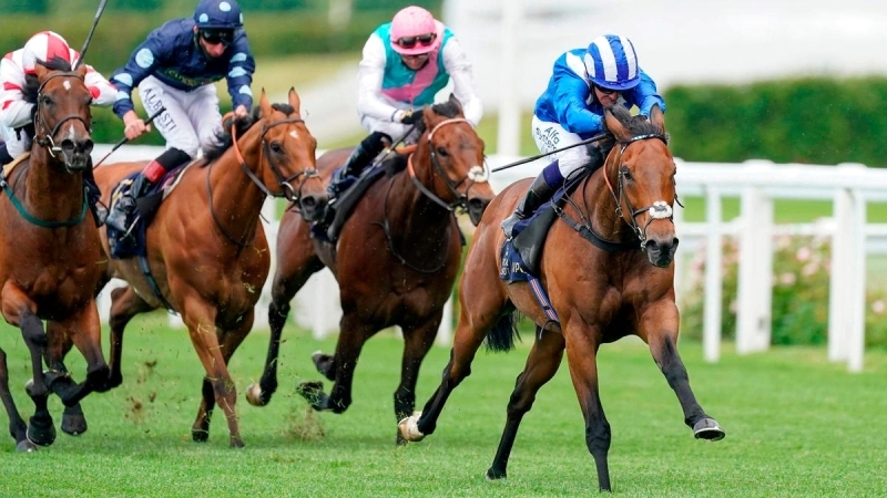 "«بطاش » خطف جائزة السرعة | البيان"