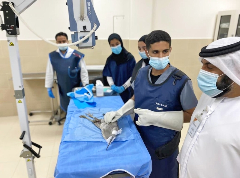 الرحمة