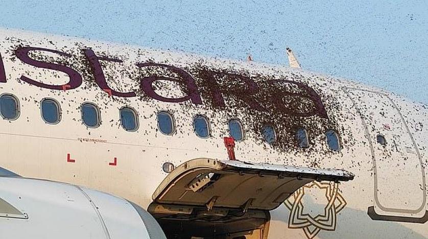 فوضى في مطار هندي بعد مهاجمة سرب من النحل طائرتين