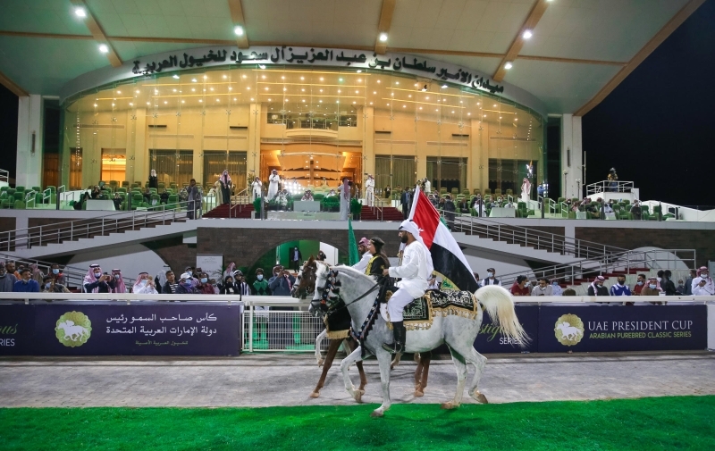 "الاحتفاء بعلم الإمارات في الكرنفال"