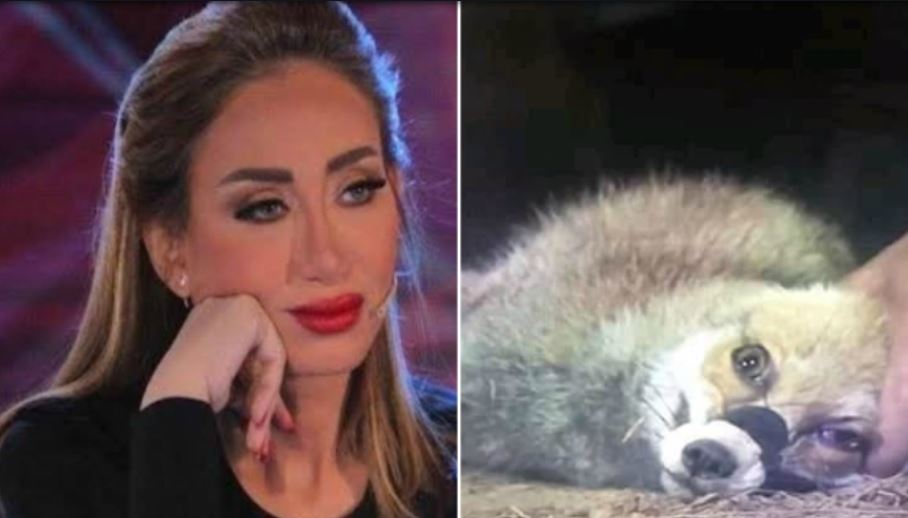 أول تعليق لريهام سعيد بعد إيقاف برنامجها