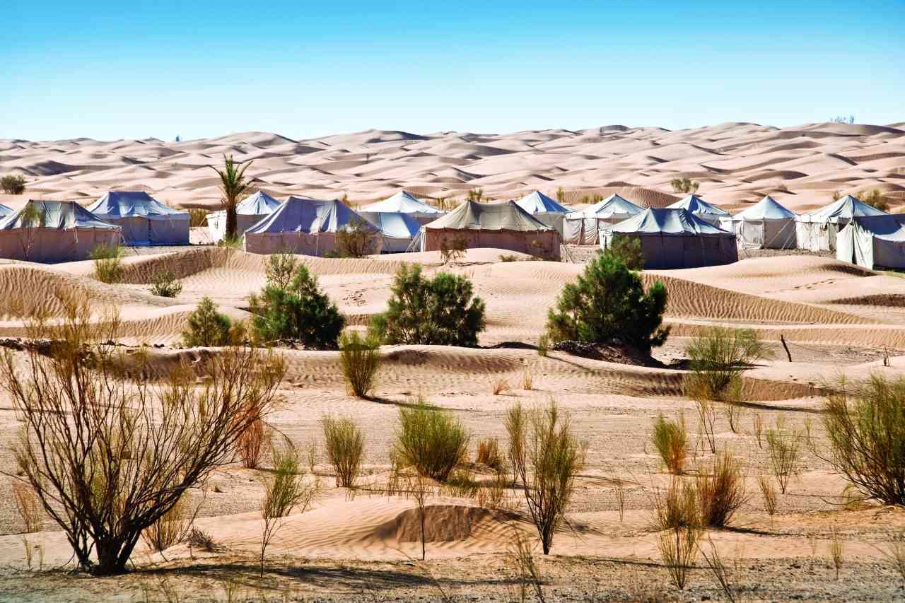 البرّ حضن التناغم الاجتماعي والالتزام باحترازات «كورونا» حصن رحلاته