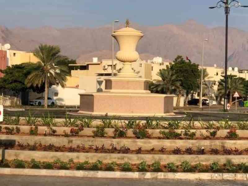 20 مشروعاً للزراعات التجميلية والبستنة  في دبا الحصن خلال 2020