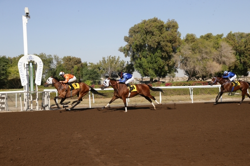 "«الطارق » يقتنص لقب «بطولة جبل علي للسرعة » | البيان"