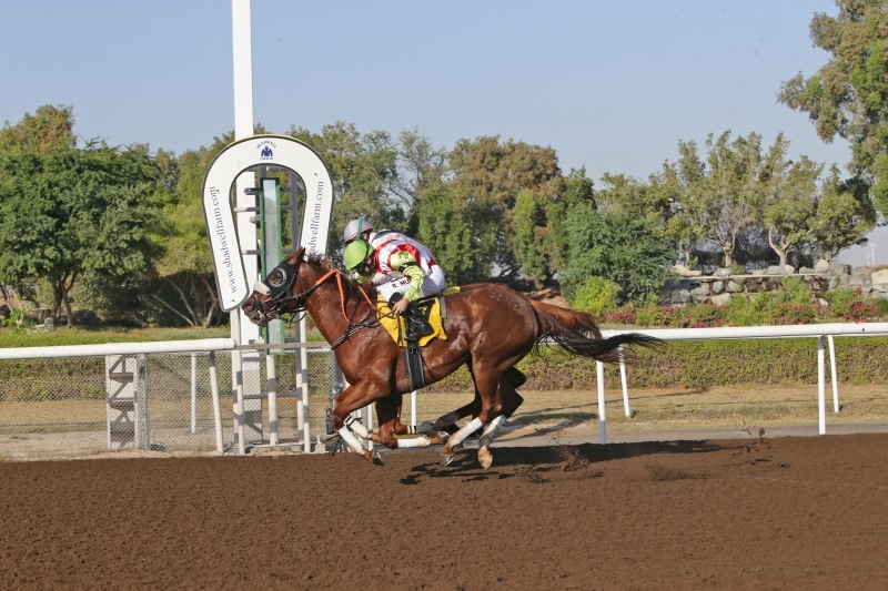 "صراع مثير عند خط النهاية بين «سالتراين دبي » و «تيلورز رو » في «بطولة جبل علي ستيكس » | البيان"