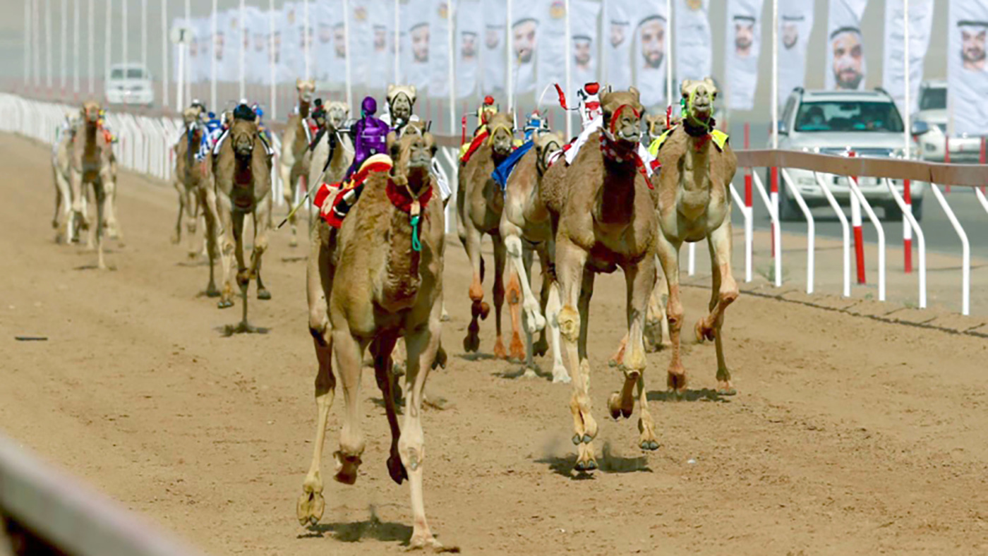 "من منافسات «الحقايق» في المهرجان | وام"