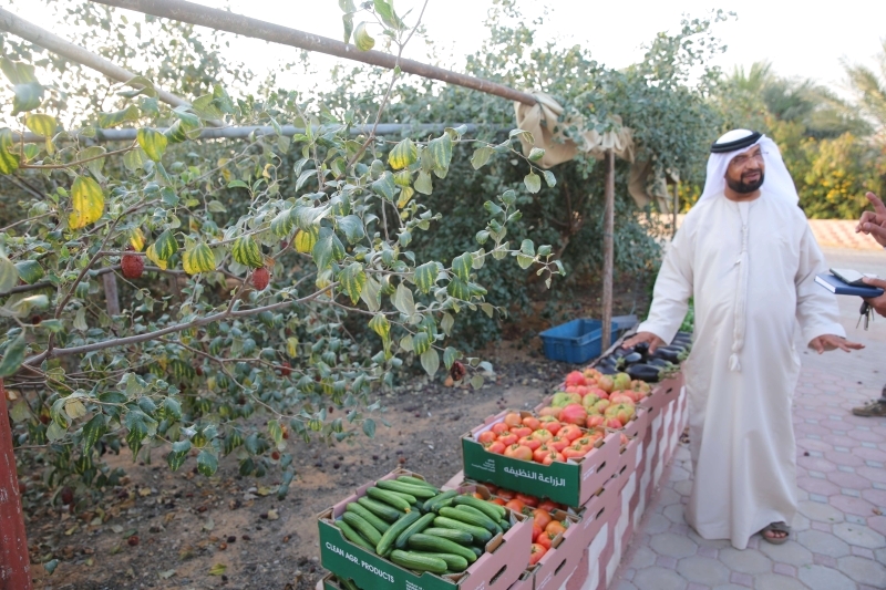 تقنين الاستيراد أولوية لتسويق المنتج المحلي