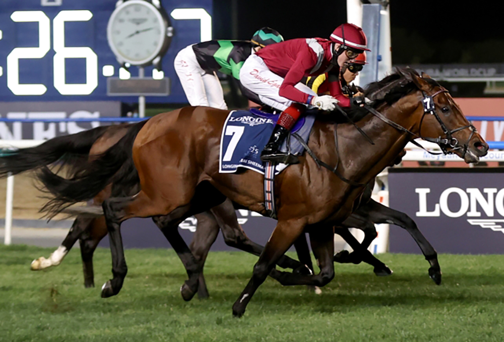 "مشرف بطل الشوط الثامن | تصوير: سالم خميس"