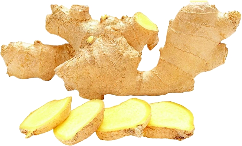 نبات الزنجبيل  داعم لصحة الجهاز المناعي