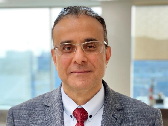 "حازم السيد"