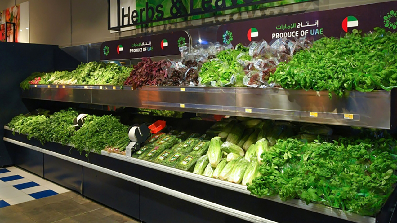 "تعزيز قدرة الزراعة للاستجابة مع التغيرات والتحديات| أرشيفية"