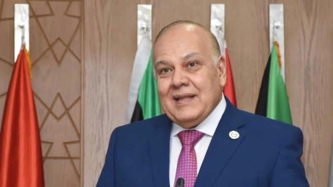 "عمرو سلامة"