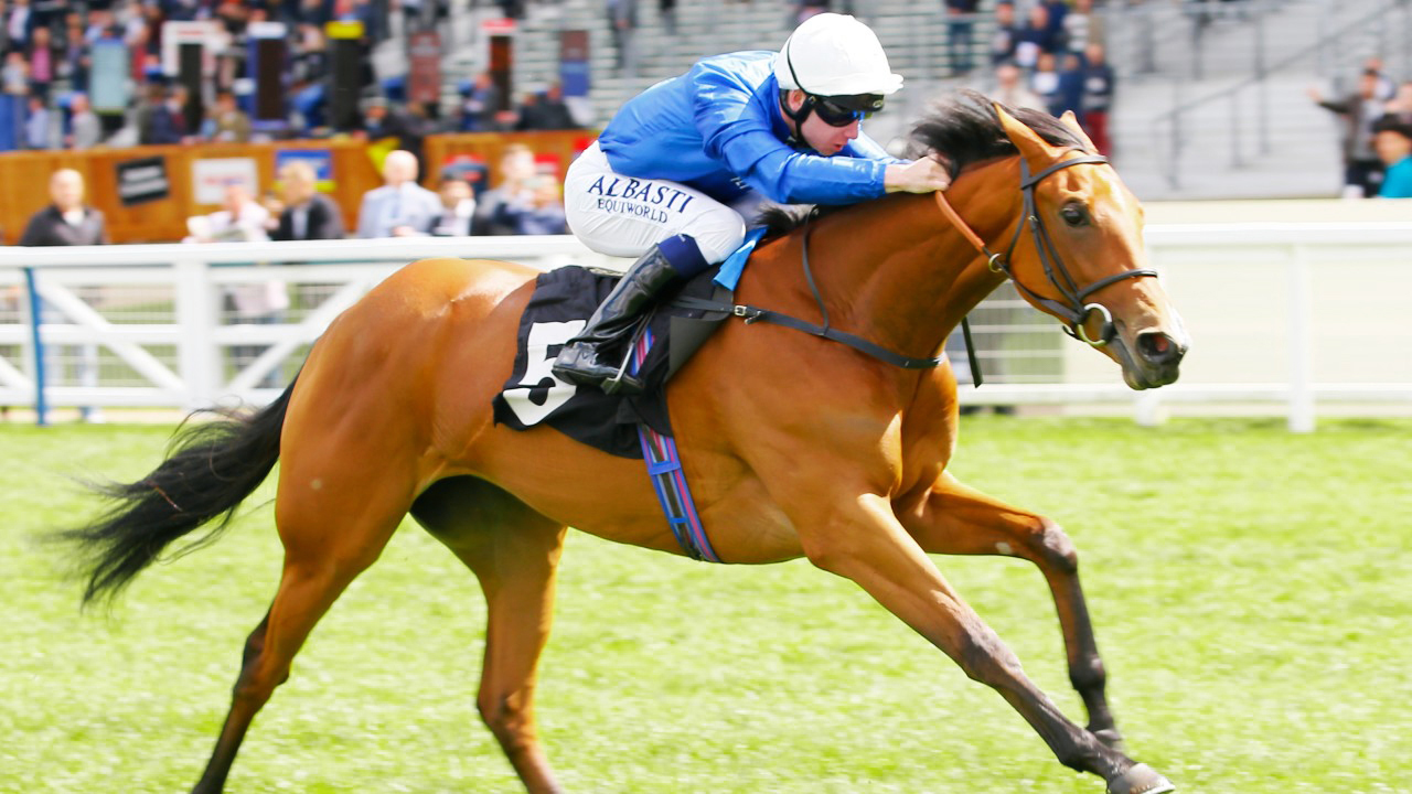 "«فاينال سونج » | أرشيفية"