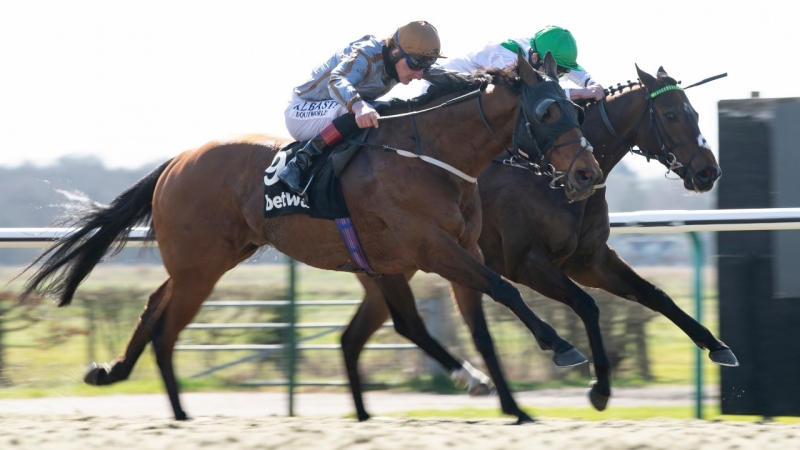 "«سمرقند » | أرشيفية"