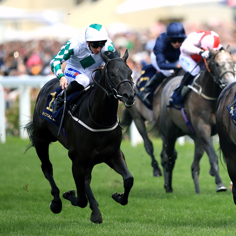 "«فينتورا ريبل » | أرشيفية"