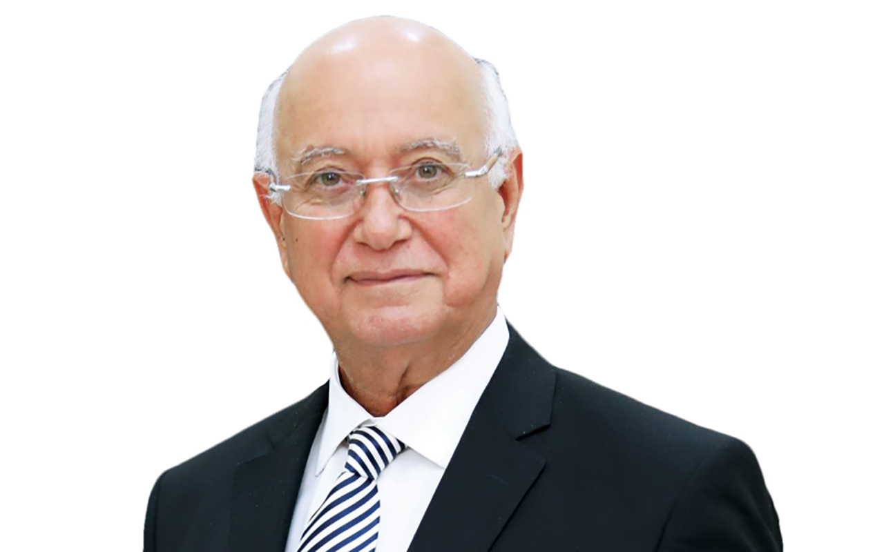 "حسام حمدي"