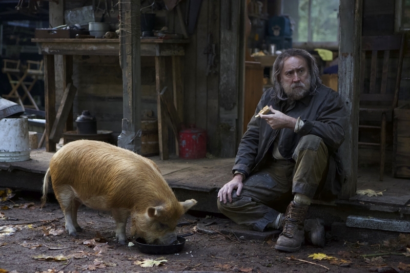 Pig.. النقاد يصفقون لنيكولاس كيج