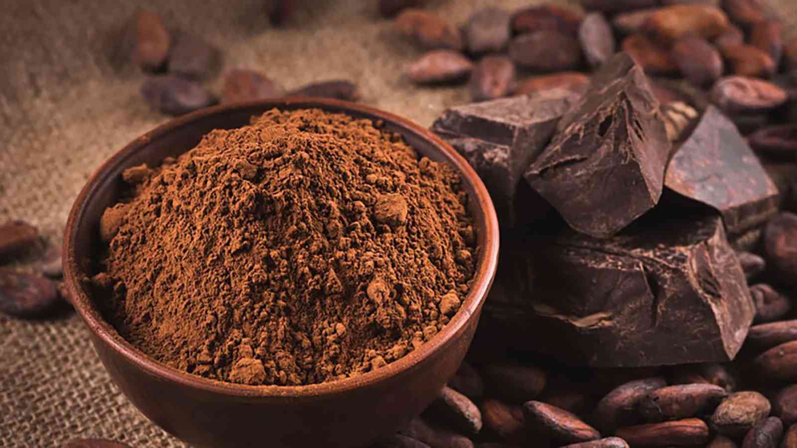 ارتفاع الطلب العالمي على الكاكاو