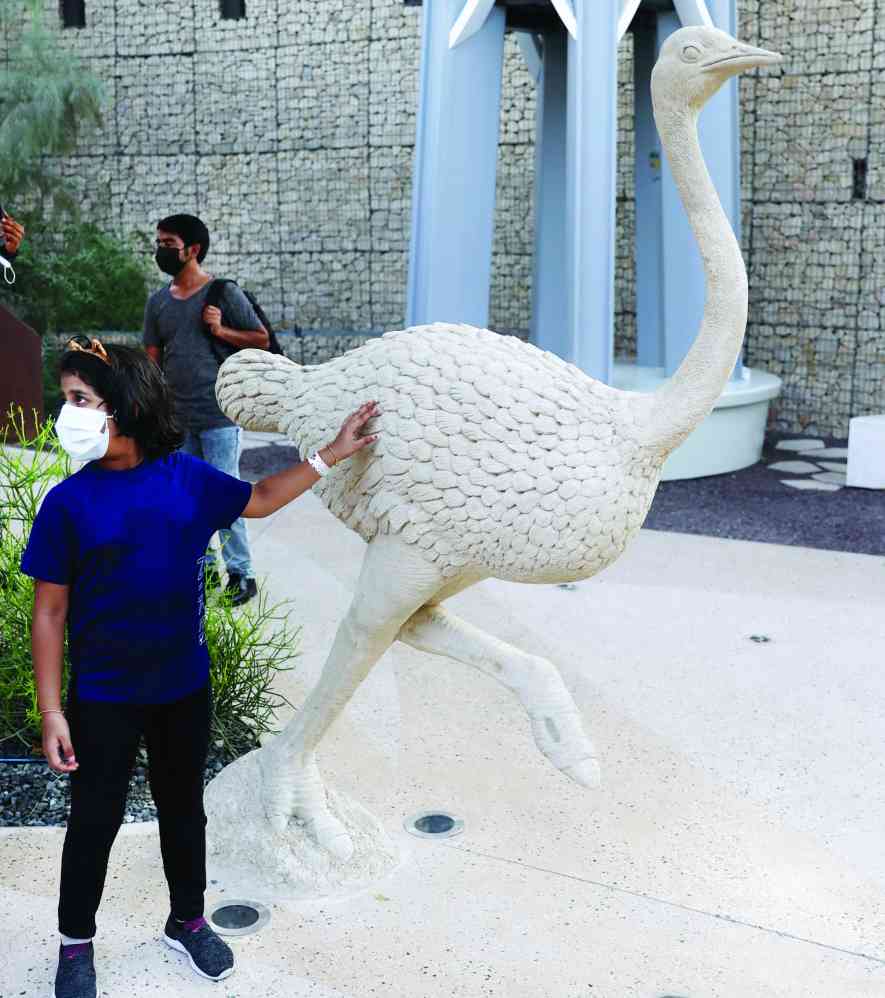 "» البيئة والحياة البرية مهد الاستدامة"