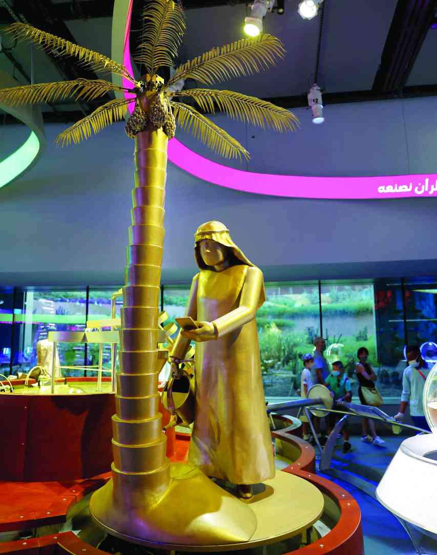 "» النخلة عنوان استدامة"