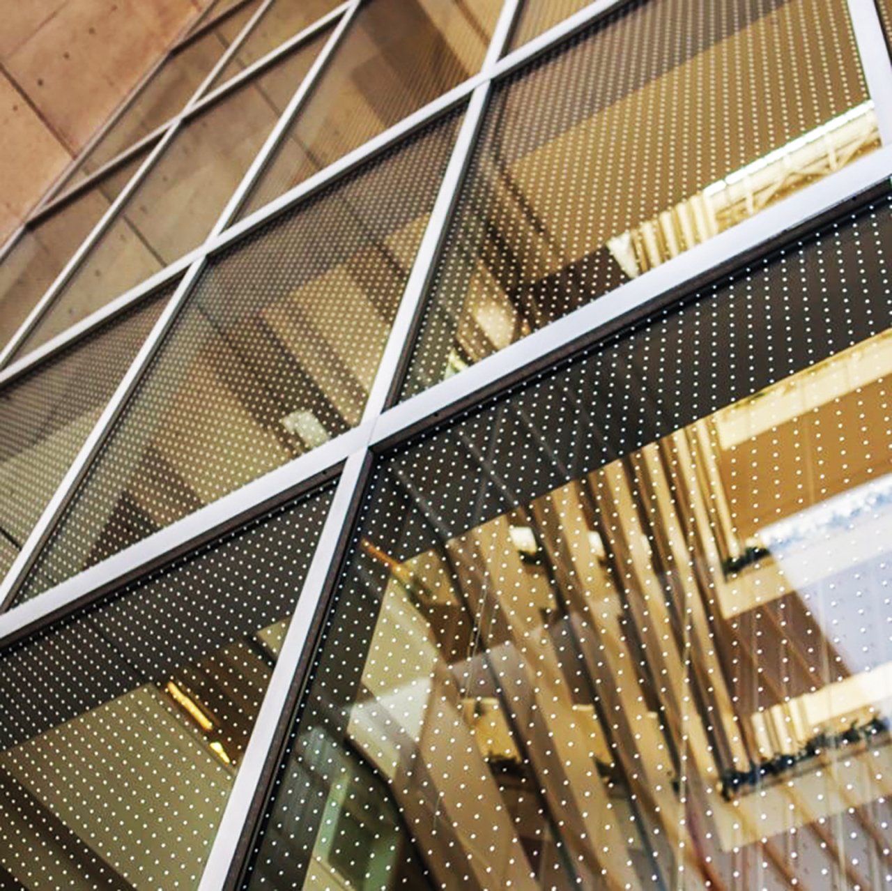 «الإمارات للزجاج» توفر تقنية لمنع اصطدام الطيور في الإمارات ودول المنطقة