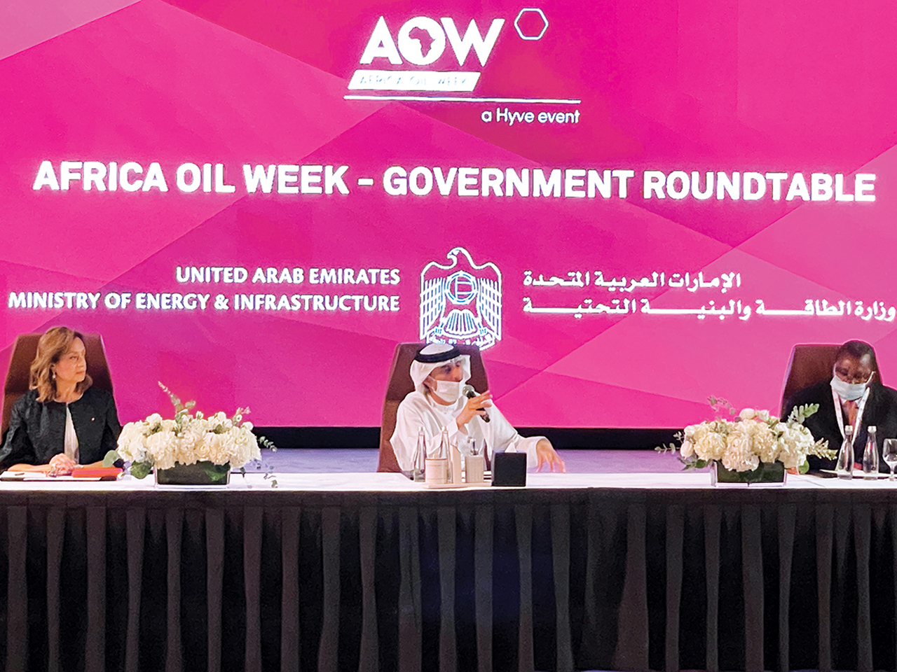 التزام الإمارات بدعم خطط أفريقيا للتحول للطاقة النظيفة
