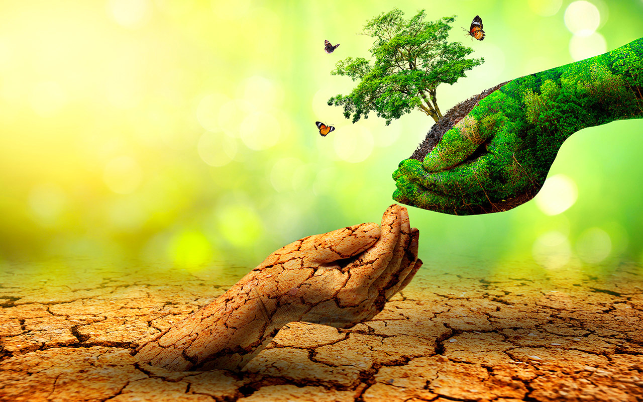 فوز الإمارات باستضافة (COP28) يعزز مكانتها المتميزة مركزاً عالمياً للأعمال