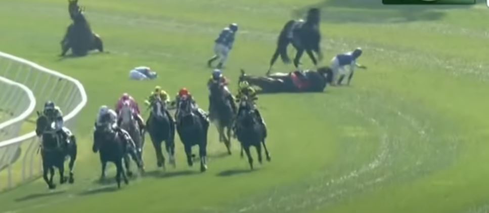فيديو مأساوي.. حادث مروع ينهي حياة حصانين سعرهما 20 مليون دولار