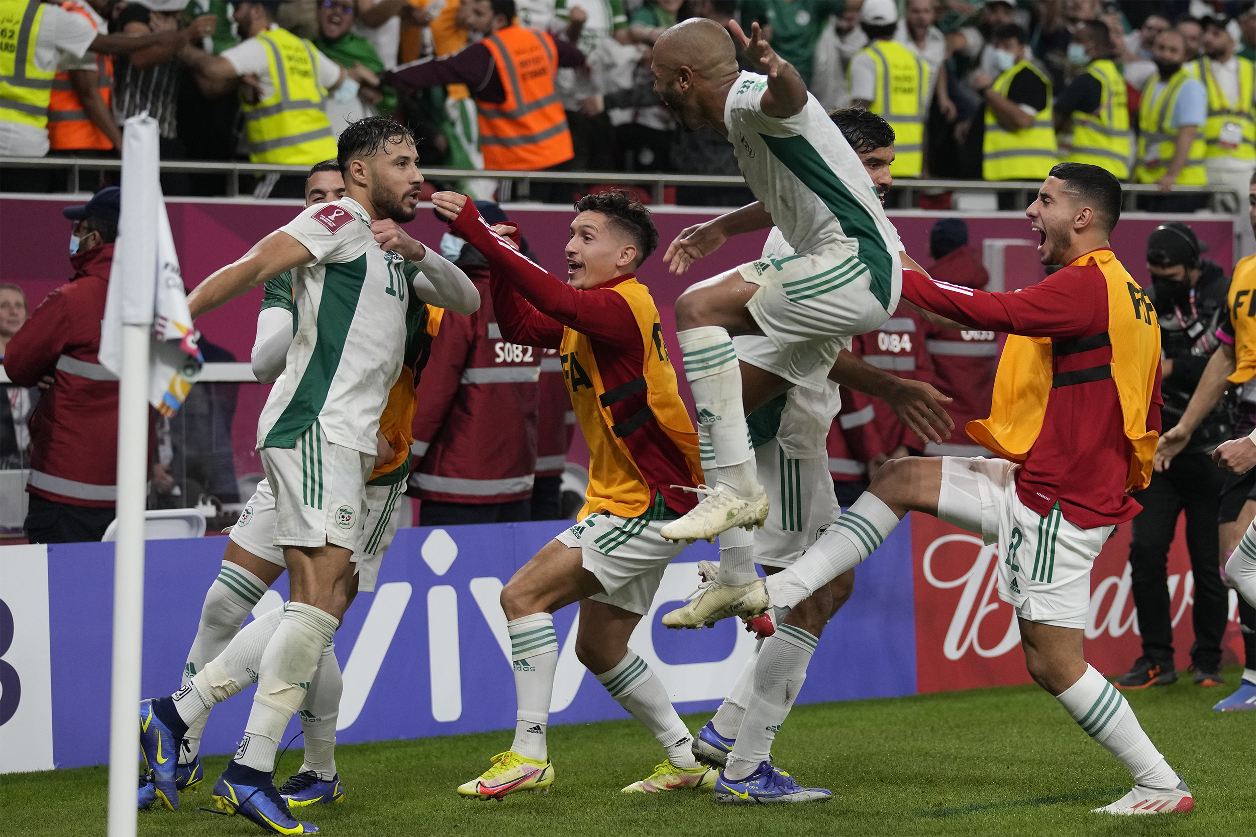 شاهد كيف احتفل الجزائريون بتأهل منتخبهم إلى نهائي كأس العرب