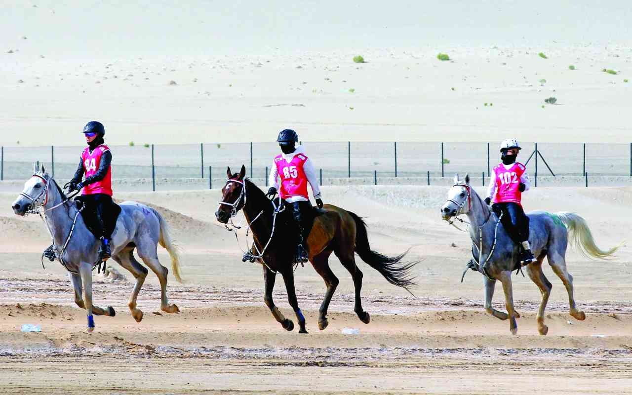 "من سباقات القدرة في قرية الإمارات العالمية  | أرشيفية"