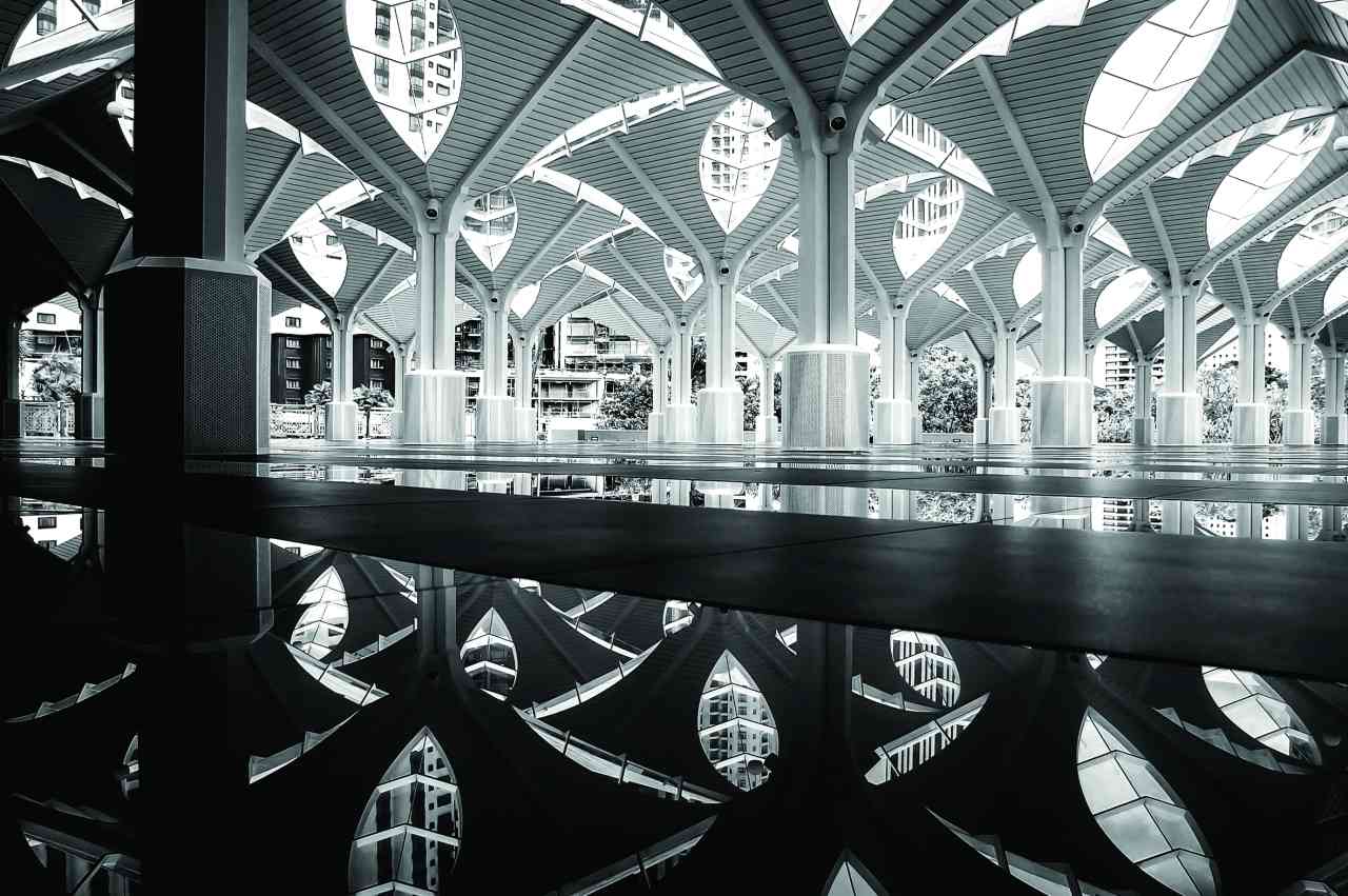 "تصوير : عارف بن أحمد"