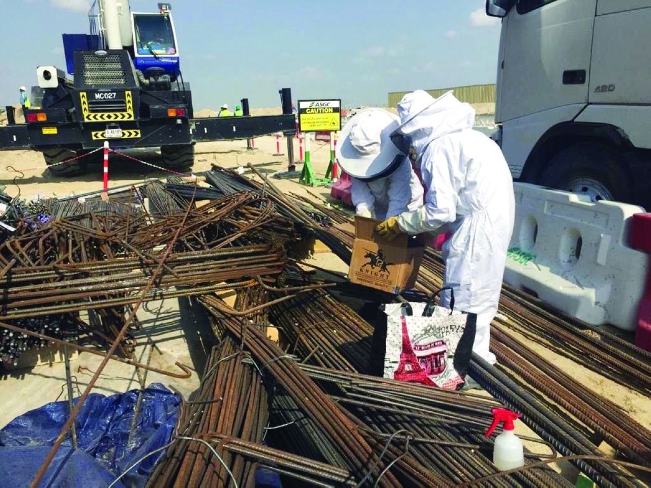 "العثور على خلايا نحل خلال العمليات الإنشائية في إكسبو ونقلها لمقر آمن | البيان"