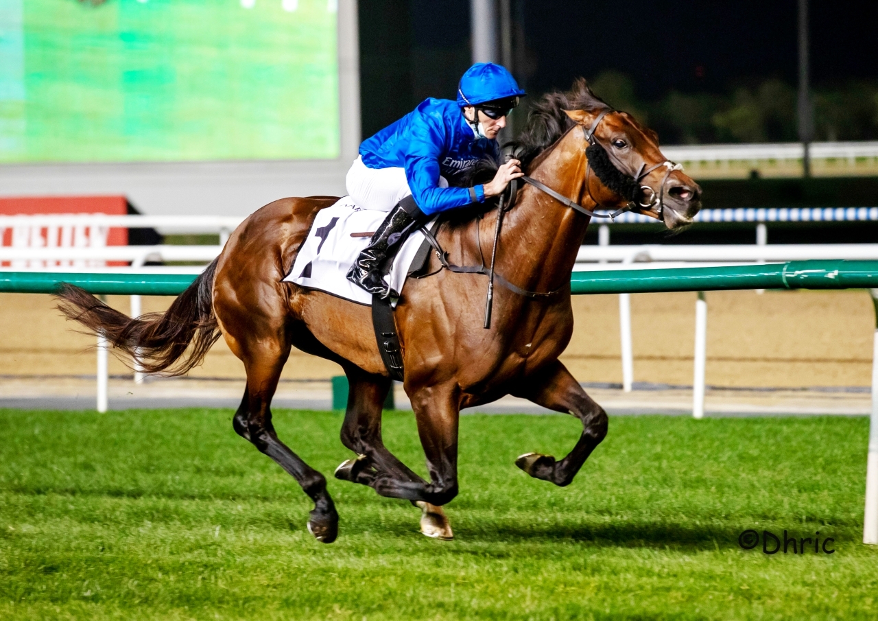 خيول الإمارات تواجه التحدي في «كأس السعودية» اليوم
