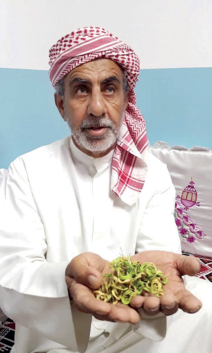 «السمر» غذاء ودواء وعطاء