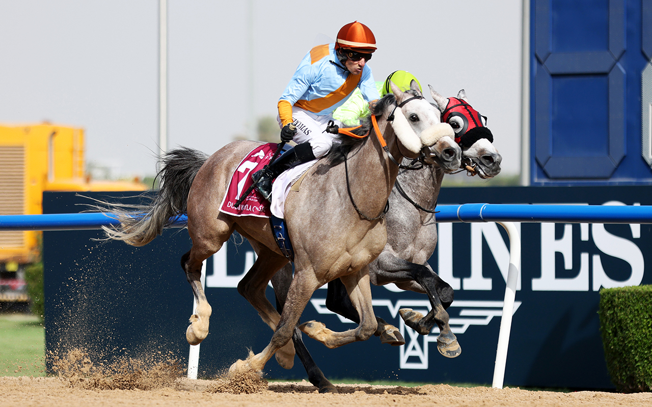 «فيرست كلاس» يفجر المفاجأة ويهدي قطر «دبي كحيلة كلاسيك»