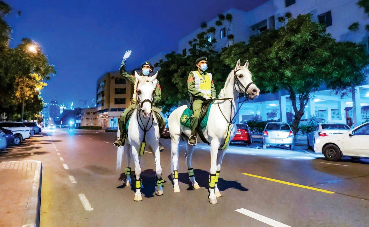 خدمات 5 نجوم.. فحص «كوفيد» دوري لخيول شرطة دبي