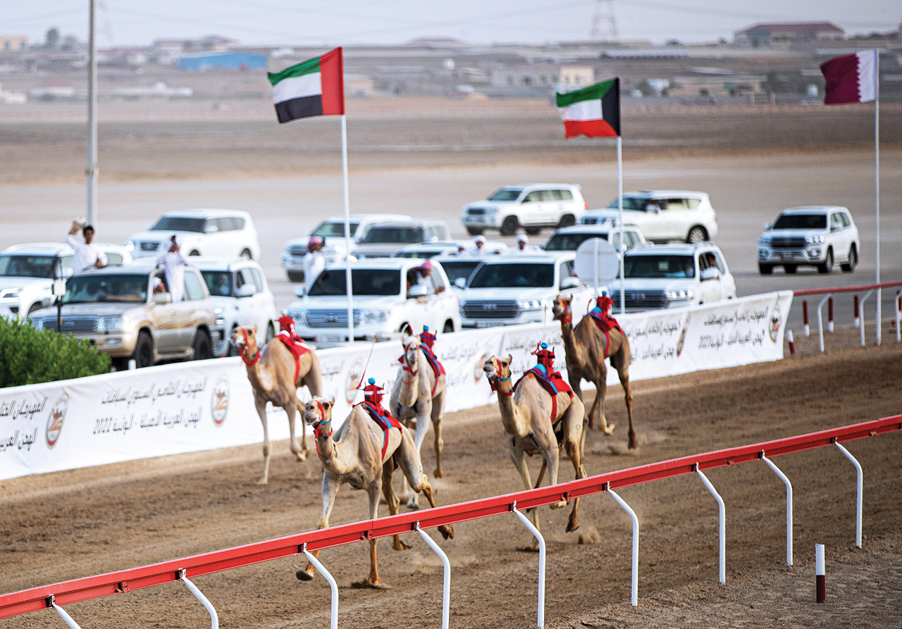 "تصوير:  احمد بدوان"