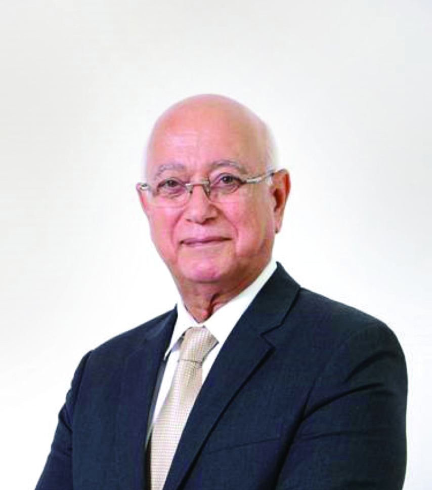 "حسام حمدي"