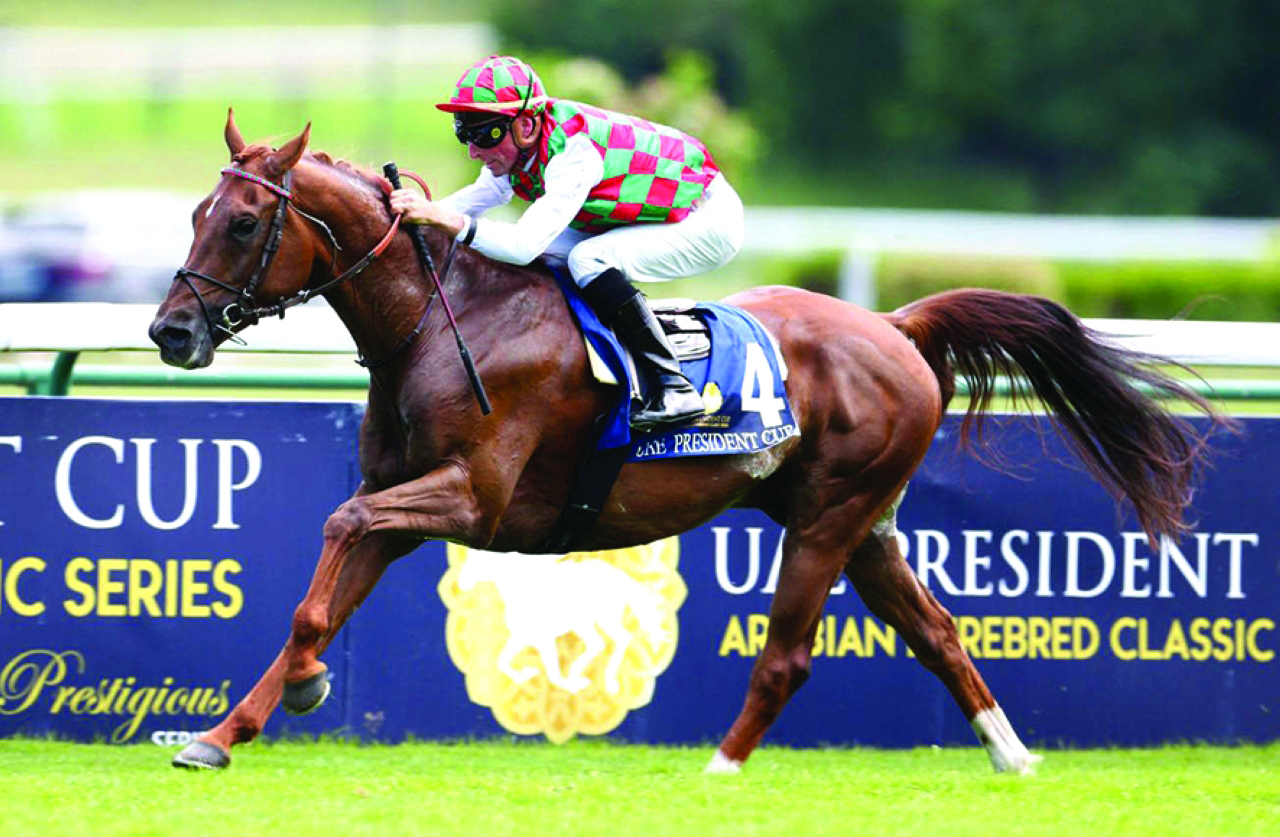 "الجواد «هتال» تفوق على منافسيه | وام"