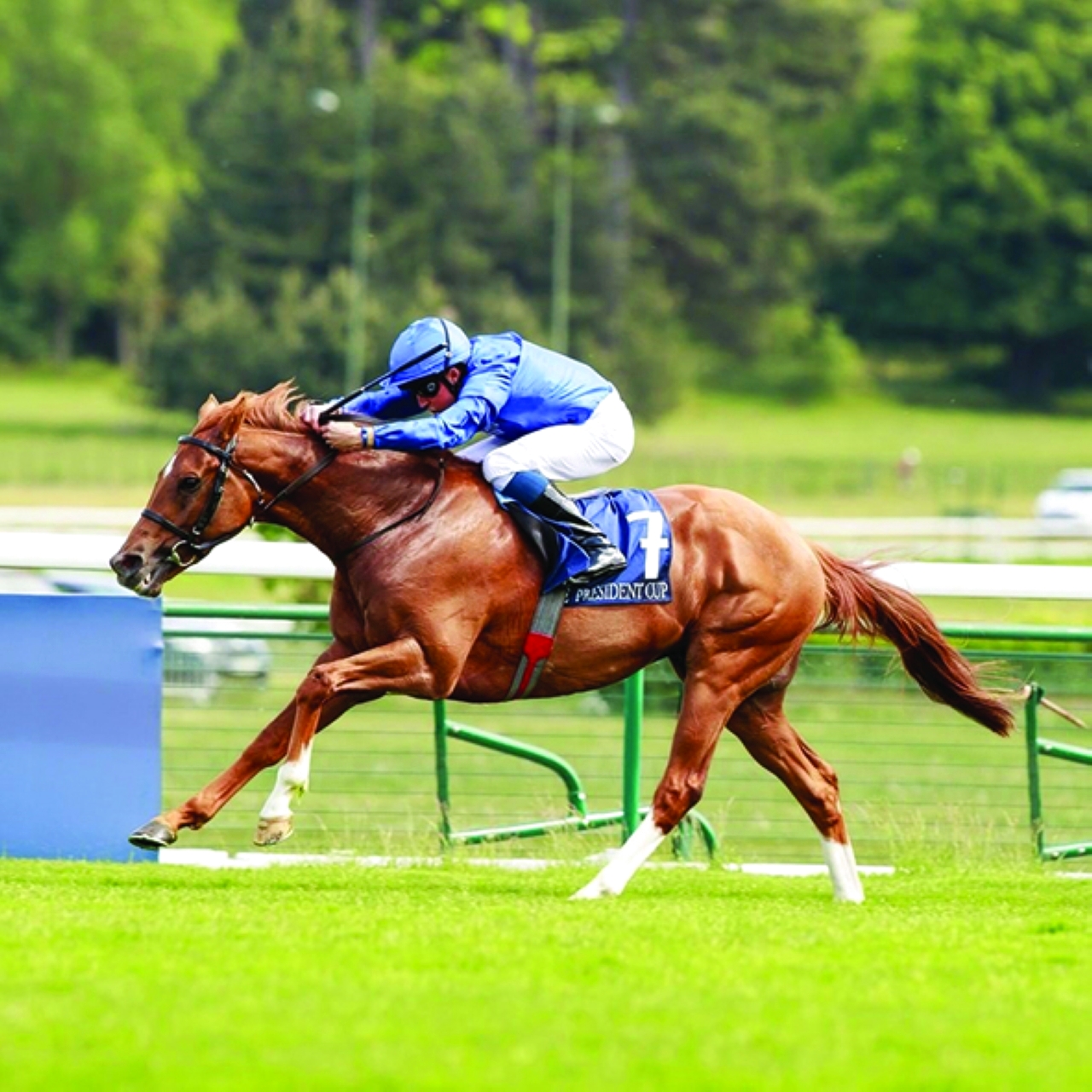 "«مودرن جيمز» يتألق في «الألفي جينز الإماراتي الفرنسي » | وام"