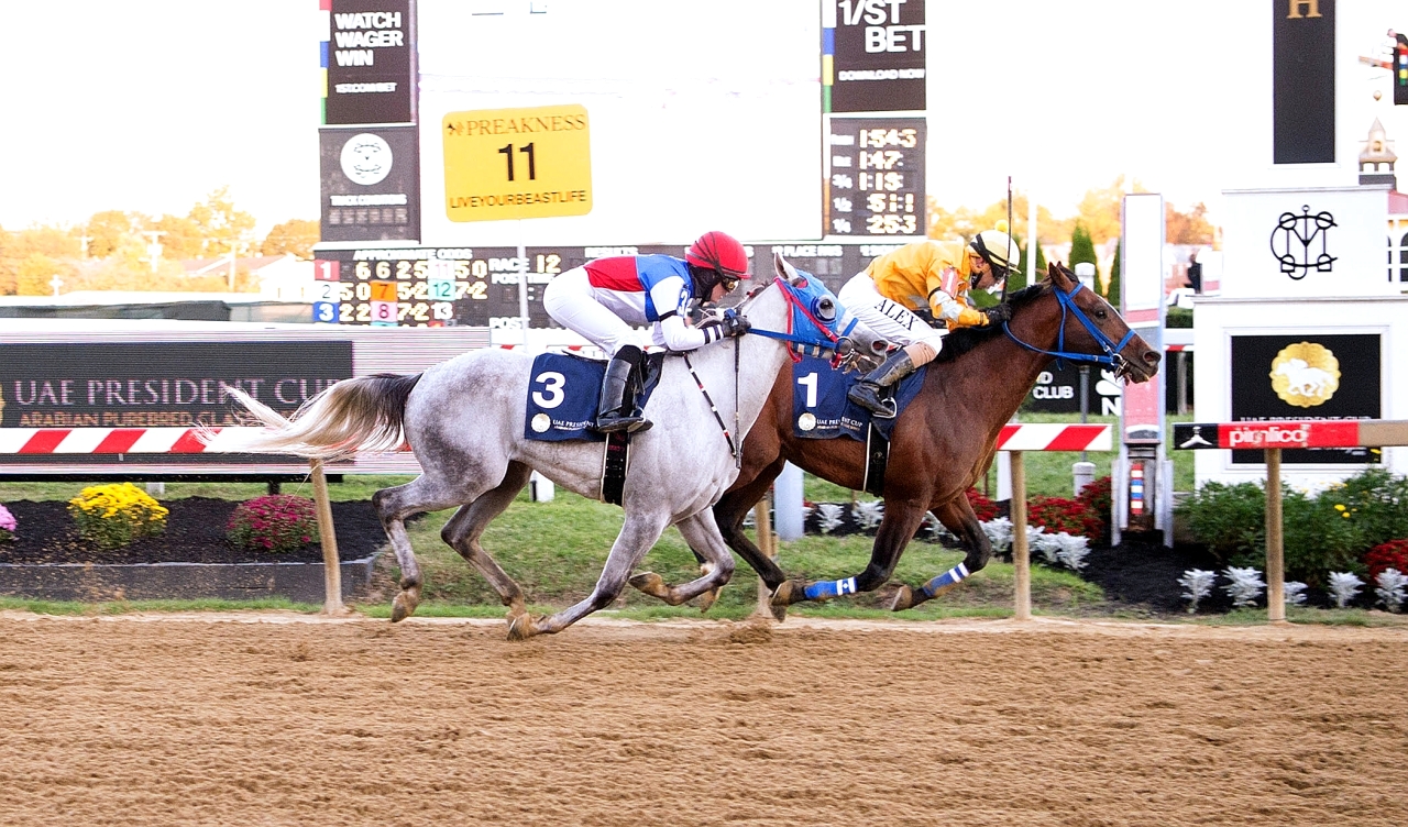 "جانب من نسخة سابقة للكأس الغالية | أرشيفية"