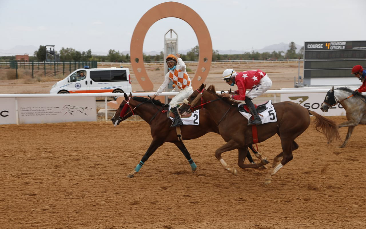 "سباقات المهرجان بمضمار مراكش"